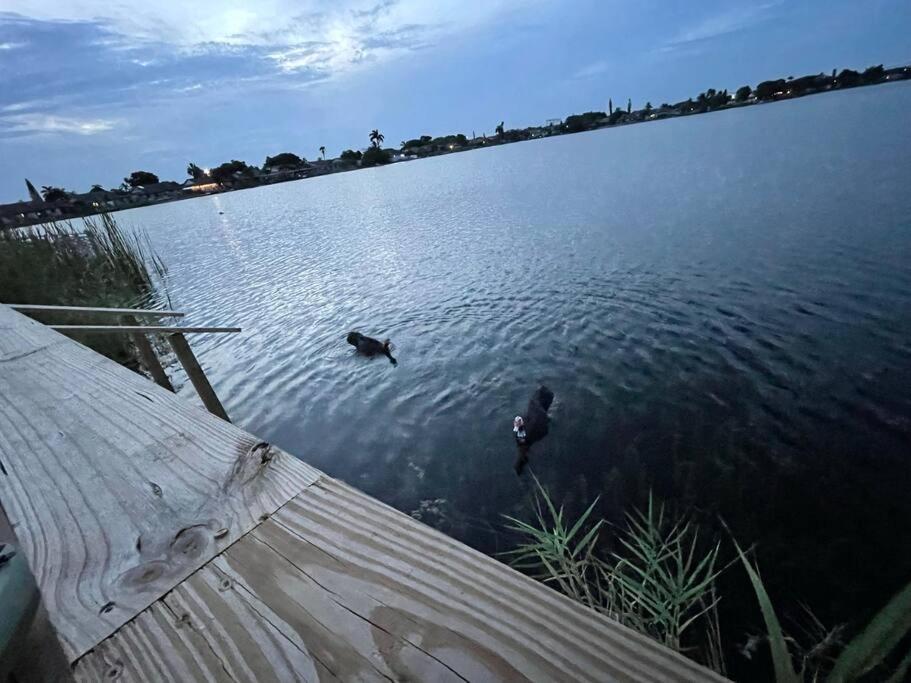 Supervilla - Lakefront - Sunsets, Kayaks, Grill Fort Lauderdale Luaran gambar